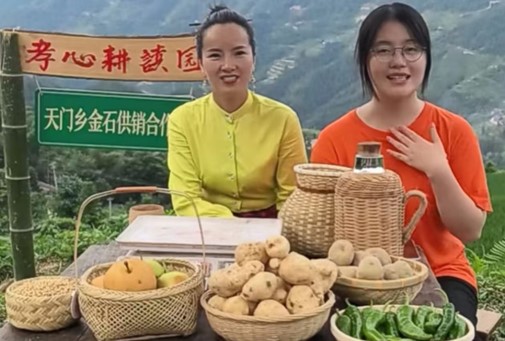 388vip太阳集团