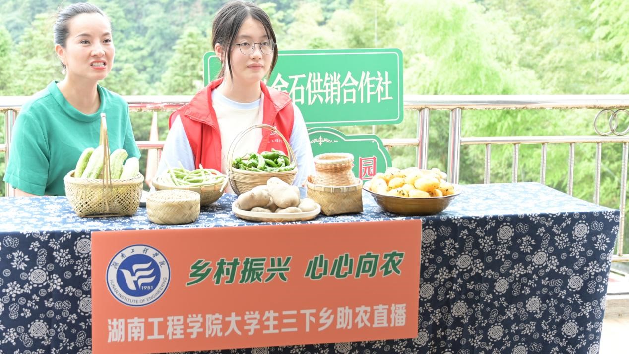388vip太阳集团
