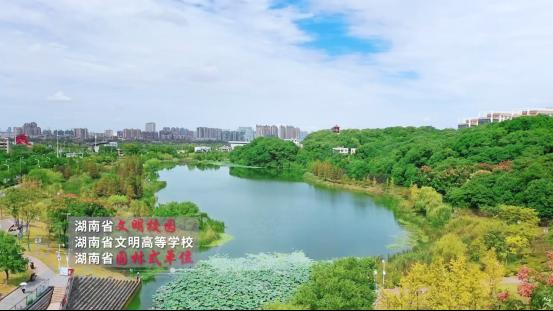 388vip太阳集团